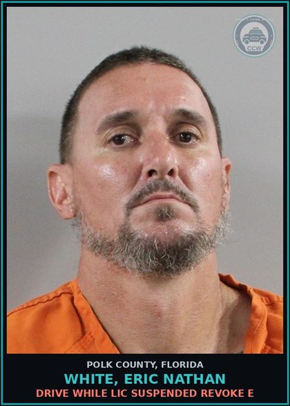 CCW arrest card for WHITE, ERIC NATHAN in Polk County: Drive While Lic Suspended Revoke E