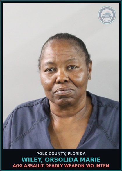 CCW arrest card for WILEY, ORSOLIDA MARIE in Polk County: Agg Assault Deadly Weapon WO Inten