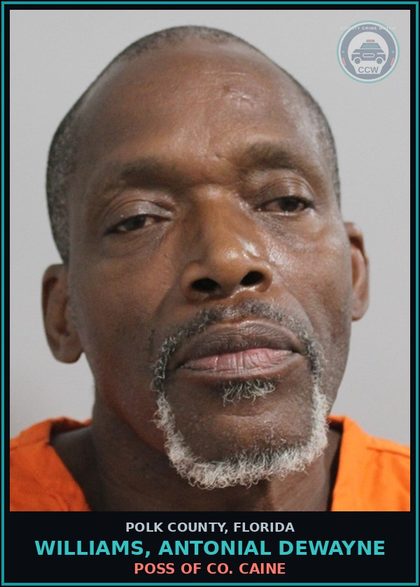 CCW arrest card for WILLIAMS, ANTONIAL DEWAYNE in Polk County: POSS OF COCAINE