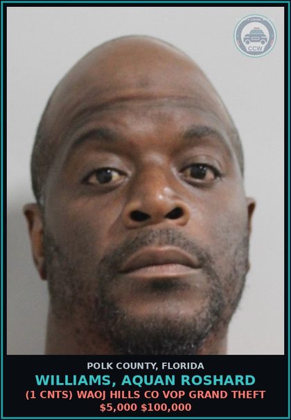CCW arrest card for WILLIAMS, AQUAN ROSHARD in Polk County: Attempted False Imprisonment