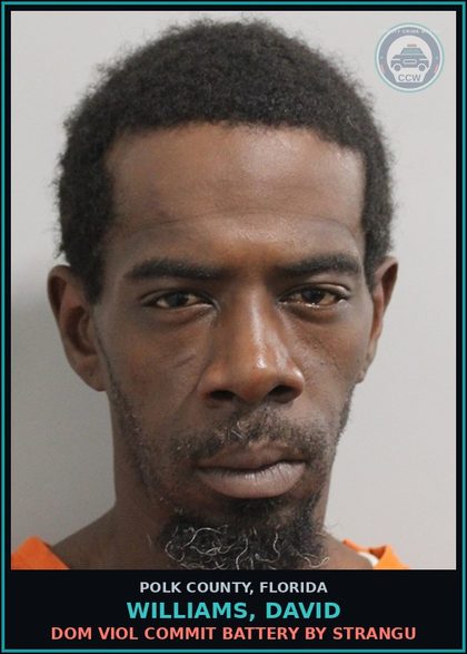 CCW arrest card for WILLIAMS, DAVID in Polk County: Drive While Lic Suspended Revoke E
