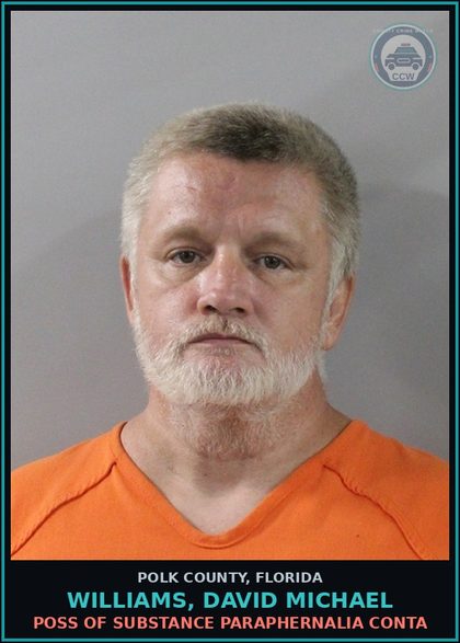 CCW arrest card for WILLIAMS, DAVID MICHAEL in Polk County: FAILURE TO APPEAR 1st Degree Misd