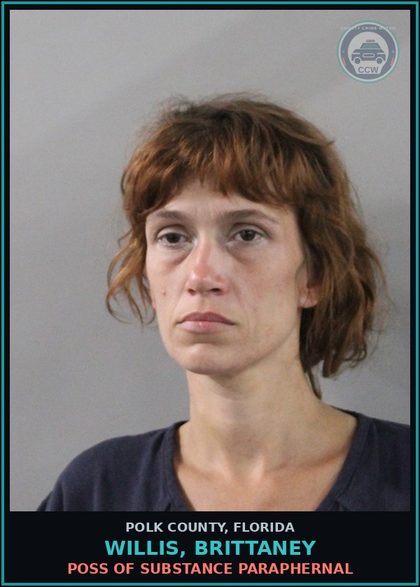 CCW arrest card for WILLIS, BRITTANEY in Polk County: POSS OF DRUG PARAPHERNAL