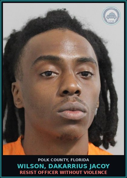 CCW arrest card for WILSON, DAKARRIUS JACOY in Polk County: Resist Officer without Violence