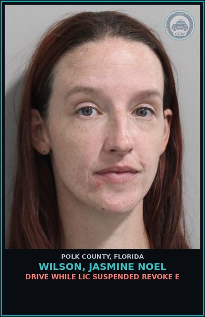 CCW arrest card for WILSON, JASMINE NOEL in Polk County: Drive While Lic Suspended Revoke E