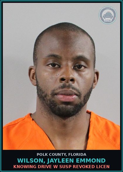 CCW arrest card for WILSON, JAYLEEN EMMOND in Polk County: Knowing Drive w Susp Revoked Licen