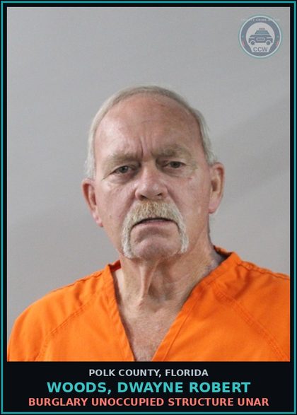 CCW arrest card for WOODS, DWAYNE ROBERT in Polk County: Petit Theft 1st Degree $100 $750
