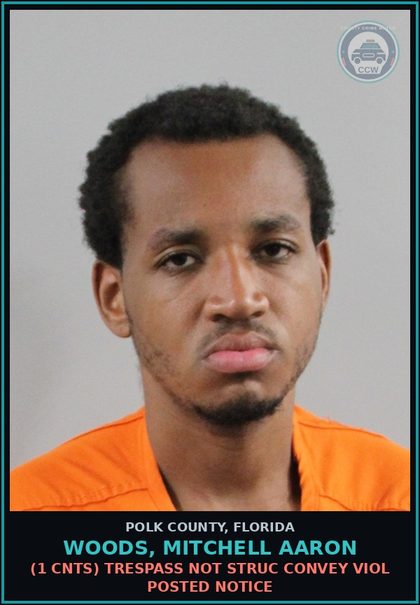 CCW arrest card for WOODS, MITCHELL AARON in Polk County: (1 cnts) Tampering with a Witness