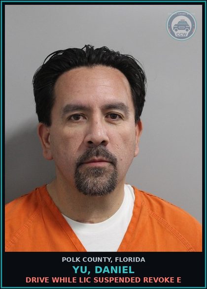 CCW arrest card for YU, DANIEL in Polk County: Drive While Lic Suspended Revoke E