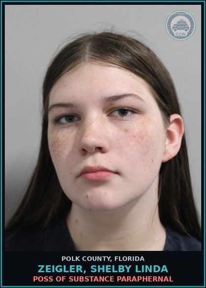 CCW arrest card for ZEIGLER, SHELBY LINDA in Polk County: POSS OF DRUG PARAPHERNAL