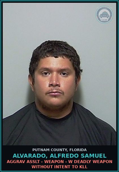 CCW arrest card for ALVARADO, ALFREDO SAMUEL in Putnam County: AGGRAV ASSLT - WEAPON - W DEADLY WEAPON WITHOUT INTENT TO KILL