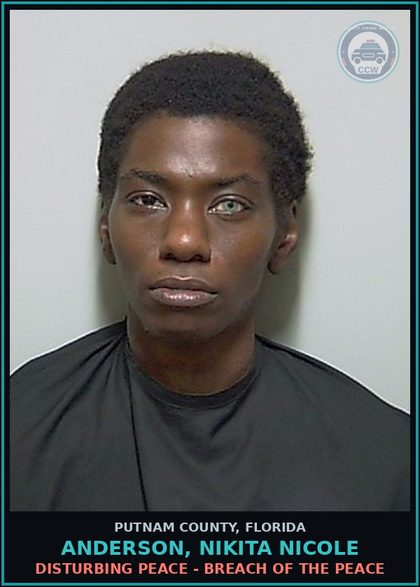 CCW arrest card for ANDERSON, NIKITA NICOLE in Putnam County: DISTURBING PEACE - BREACH OF THE PEACE