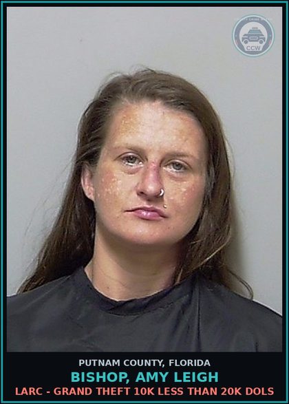 CCW arrest card for BISHOP, AMY LEIGH in Putnam County: LARC - GRAND THEFT 10K LESS THAN 20K DOLS
