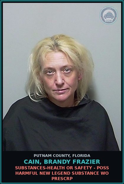 CCW arrest card for CAIN, BRANDY FRAZIER in Putnam County: AMPHETAMINE-TRAFFIC - OR Methamp 14 GRAMS OR OVER