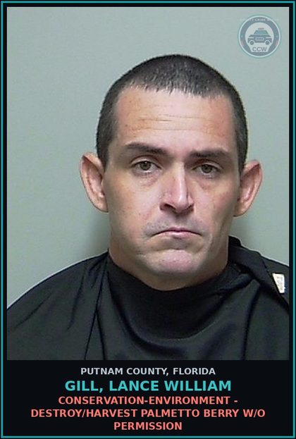 CCW arrest card for GILL, LANCE WILLIAM in Putnam County: CONSERVATION-ENVIRONMENT - DESTROY/HARVEST PALMETTO BERRY W/O PERMISSION