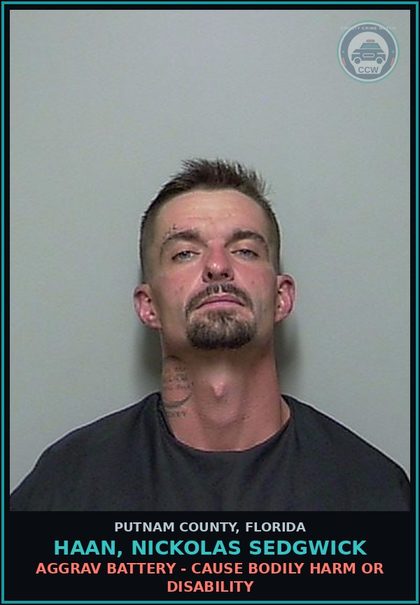 CCW arrest card for HAAN, NICKOLAS SEDGWICK in Putnam County: AGGRAV BATTERY - CAUSE BODILY HARM OR DISABILITY