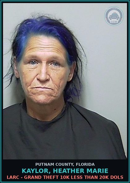 CCW arrest card for KAYLOR, HEATHER MARIE in Putnam County: BURGL - UNOCCUPIED DWELLING UNARMED