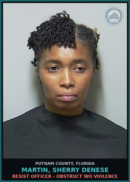 CCW arrest card for MARTIN, SHERRY DENESE in Putnam County: FLEE/ELUDE POLICE - FLEE ELUDE LEO AT HIGH SPEED