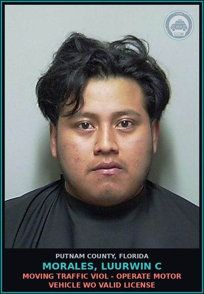 CCW arrest card for MORALES, LUURWIN C in Putnam County: MOVING TRAFFIC VIOL - OPERATE MOTOR VEHICLE WO VALID LICENSE