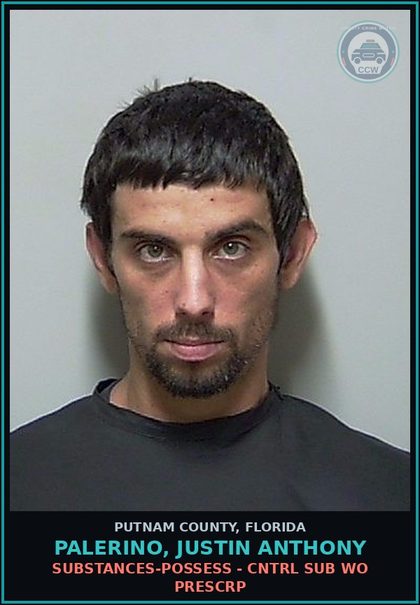 CCW arrest card for PALERINO, JUSTIN ANTHONY in Putnam County: DRUGS-POSSESS - CNTRL SUB WO PRESCRIPTION