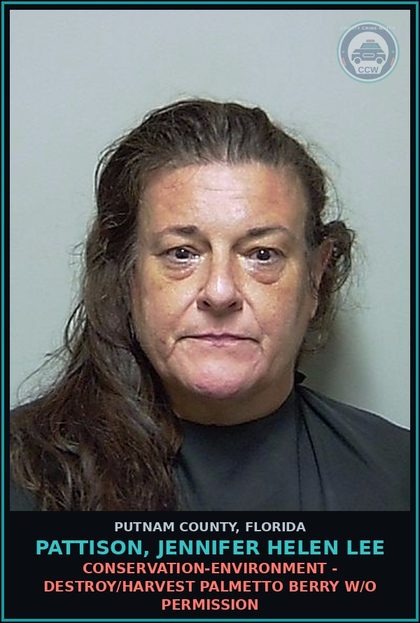 CCW arrest card for PATTISON, JENNIFER HELEN LEE in Putnam County: CONSERVATION-ENVIRONMENT - DESTROY/HARVEST PALMETTO BERRY W/O PERMISSION