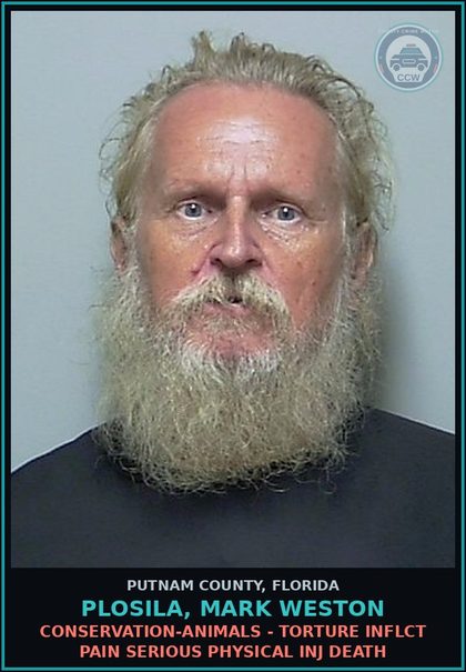 CCW arrest card for PLOSILA, MARK WESTON in Putnam County: CONSERVATION-ANIMALS - TORTURE INFLCT PAIN SERIOUS PHYSICAL INJ DEATH