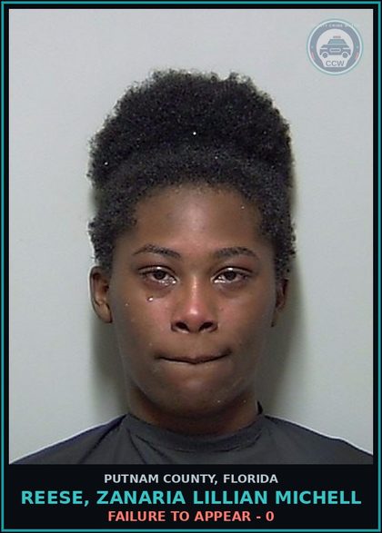 CCW arrest card for REESE, ZANARIA LILLIAN MICHELL in Putnam County: FAILURE TO APPEAR - 0
