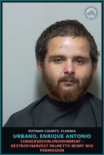 CCW arrest card for URBANO, ENRIQUE ANTONIO in Putnam County: CONSERVATION-ENVIRONMENT - DESTROY/HARVEST PALMETTO BERRY W/O PERMISSION