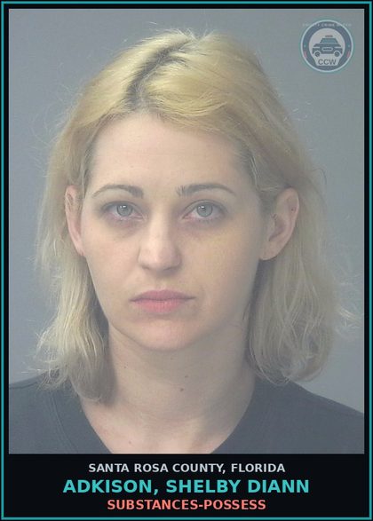 CCW arrest card for ADKISON, SHELBY DIANN in Santa Rosa County: DRUGS-POSSESS