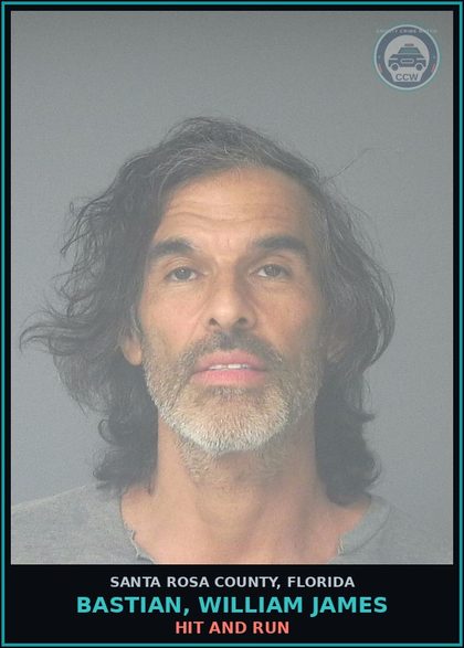 CCW arrest card for BASTIAN, WILLIAM JAMES in Santa Rosa County: HIT AND RUN