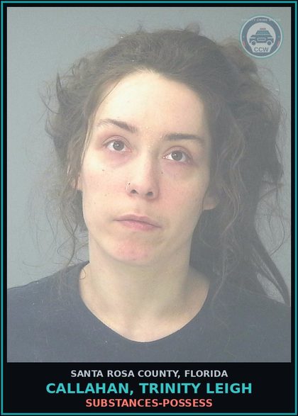 CCW arrest card for CALLAHAN, TRINITY LEIGH in Santa Rosa County: DRUGS-POSSESS