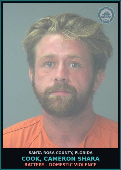 CCW arrest card for COOK, CAMERON SHARA in Santa Rosa County: BATTERY - DOMESTIC VIOLENCE