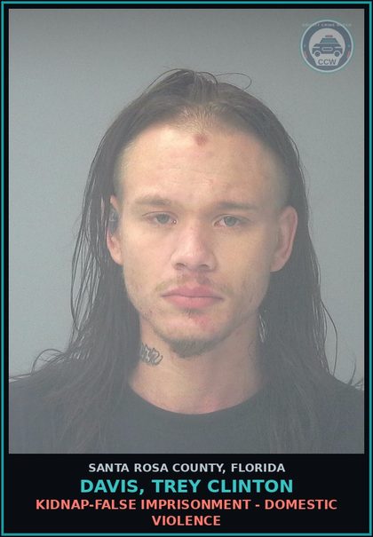CCW arrest card for DAVIS, TREY CLINTON in Santa Rosa County: BATTERY - DOMESTIC VIOLENCE