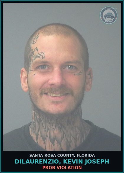 CCW arrest card for DILAURENZIO, KEVIN JOSEPH in Santa Rosa County: PROB VIOLATION