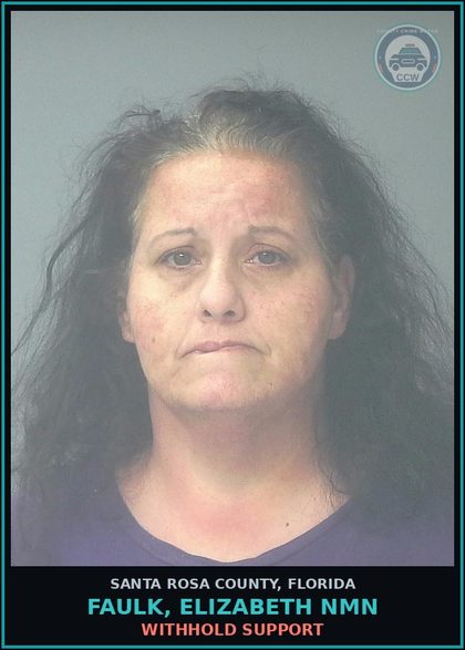 CCW arrest card for FAULK, ELIZABETH NMN in Santa Rosa County: WITHHOLD SUPPORT