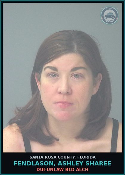 CCW arrest card for FENDLASON, ASHLEY SHAREE in Santa Rosa County: DUI-UNLAW BLD ALCH