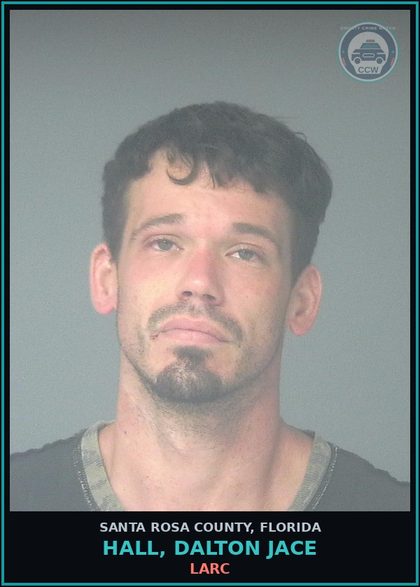 CCW arrest card for HALL, DALTON JACE in Santa Rosa County: LARC