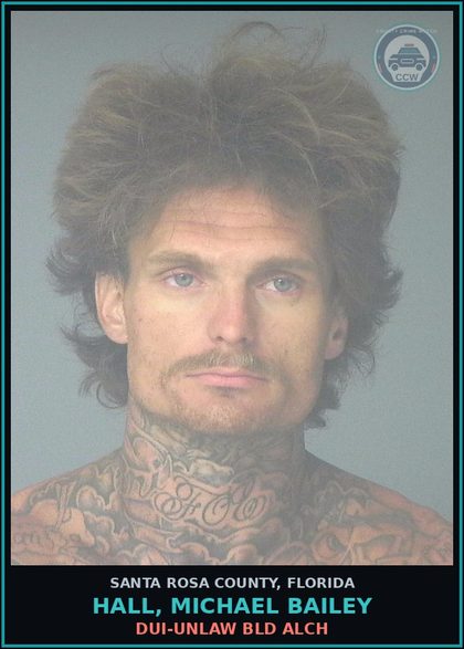 CCW arrest card for HALL, MICHAEL BAILEY in Santa Rosa County: DUI-UNLAW BLD ALCH