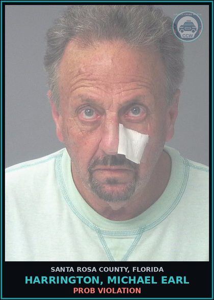 CCW arrest card for HARRINGTON, MICHAEL EARL in Santa Rosa County: PROB VIOLATION