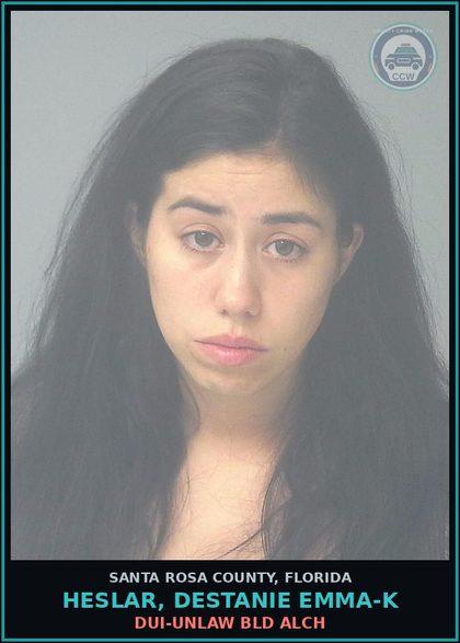 CCW arrest card for HESLAR, DESTANIE EMMA-K in Santa Rosa County: DUI-UNLAW BLD ALCH