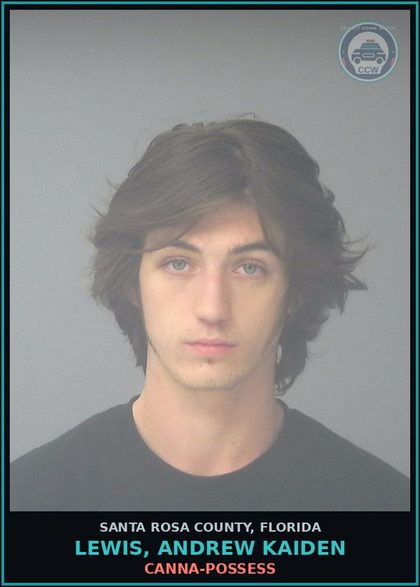 CCW arrest card for LEWIS, ANDREW KAIDEN in Santa Rosa County: Canna-POSSESS