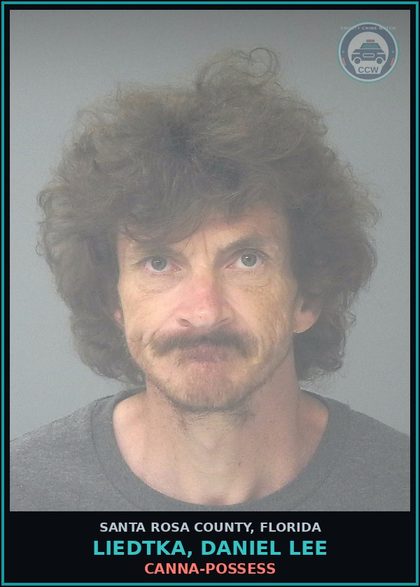 CCW arrest card for LIEDTKA, DANIEL LEE in Santa Rosa County: Canna-POSSESS