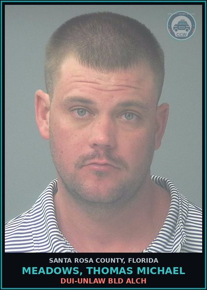 CCW arrest card for MEADOWS, THOMAS MICHAEL in Santa Rosa County: DUI-UNLAW BLD ALCH