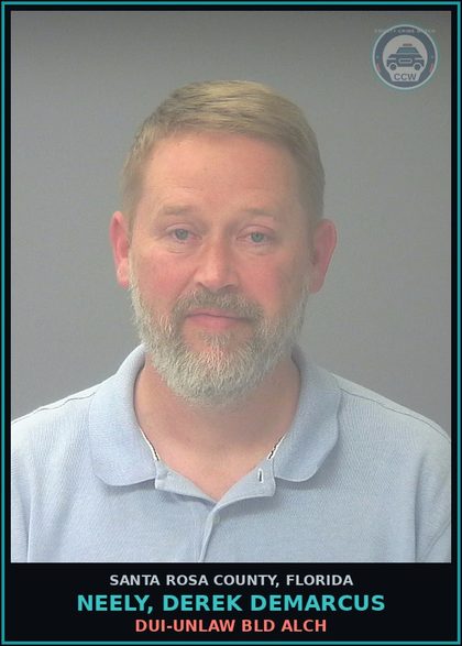 CCW arrest card for NEELY, DEREK DEMARCUS in Santa Rosa County: DUI-UNLAW BLD ALCH