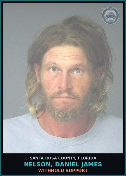 CCW arrest card for NELSON, DANIEL JAMES in Santa Rosa County: WITHHOLD SUPPORT