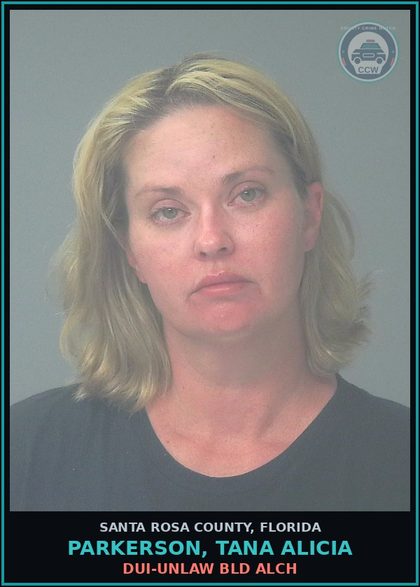 CCW arrest card for PARKERSON, TANA ALICIA in Santa Rosa County: DUI-UNLAW BLD ALCH