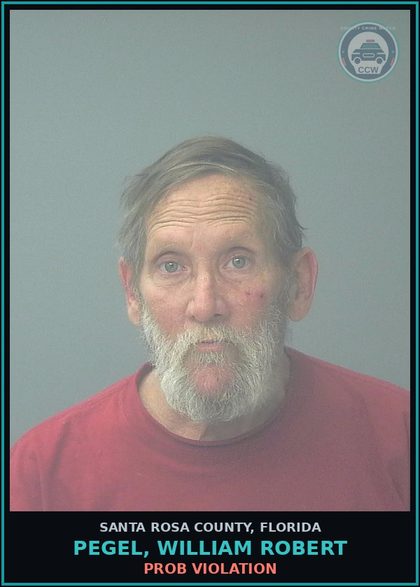 CCW arrest card for PEGEL, WILLIAM ROBERT in Santa Rosa County: PROB VIOLATION