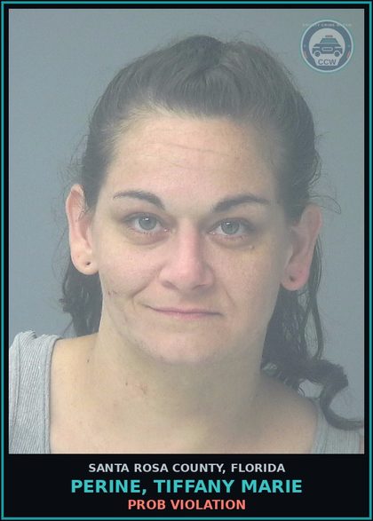 CCW arrest card for PERINE, TIFFANY MARIE in Santa Rosa County: PROB VIOLATION
