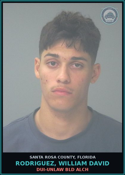 CCW arrest card for RODRIGUEZ, WILLIAM DAVID in Santa Rosa County: DUI-UNLAW BLD ALCH