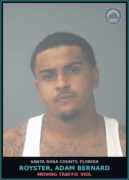 CCW arrest card for ROYSTER, ADAM BERNARD in Santa Rosa County: MOVING TRAFFIC VIOL